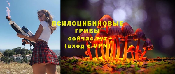 стафф Зеленодольск