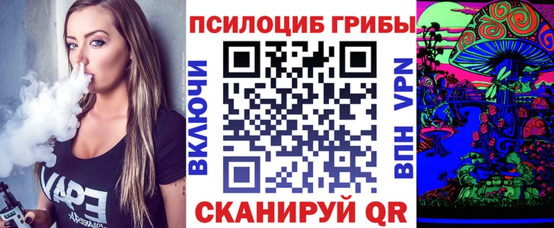 Галлюциногенные грибы прущие грибы  Кингисепп 