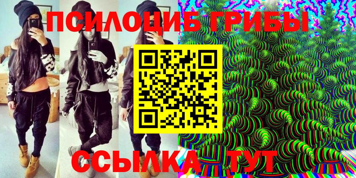 Галлюциногенные грибы мицелий  купить закладку  Кингисепп  Вход с VPN 