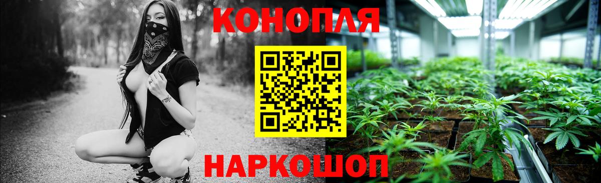 Каннабис конопля  Канабис семена  Вход с VPN  Кингисепп  Шишки марихуана SATIVA & INDICA 